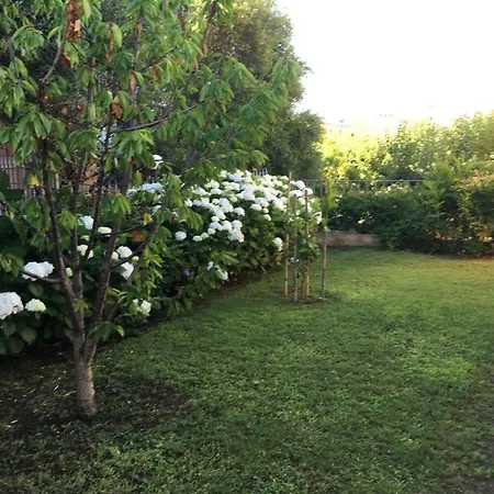 Casa Ortensia * San Teodoro (Sardinia)